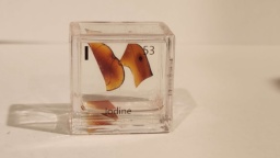 An old Iodine sample embedded into an acrylic cube. It created an interesting pattern of discoloration inside it.