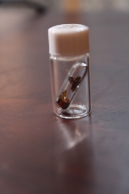 A very small sample of Caesium metal in an ampoule, which itself is in a clear container