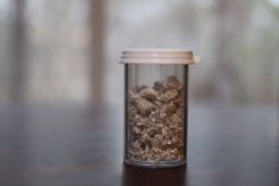 Chunks of rough Silver crystals in a container. This sample of Silver appears to have an unnatural slightly golden hue. A top-tier photo of a rarely encountered form of Silver.