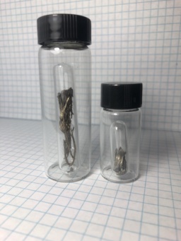 Two ampoules of Samarium metal. The larger ampoule has a larger dendritic (hair-like) piece, and the smaller has a small chunk of this metal.