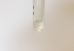 Very small quantities of |pa| and |np| in a solution. For those interested in the technical details, this contributor writes: "While it isn't a macroscopic sample of Pa ... the first [photo] is a sample of tracer-level aqueous Pa-233 in equilibrium with (also tracer) Np-237. Probably a few thousand dpm to a few tens of thousand dpm, didn't bother to check again. Looks pretty much like water, but the second ... image shows how an analysis of this sample can show both elements using alpha/beta discriminating liquid scintillation counting. The colors below the line represent counts due to the Pa-233 betas, and the colors above the line are from Np-237 alphas. The x-axis is channel (energy) and the y-axis is [the] pulse length [index] - shorter for betas, longer for alphas ... Radiochemistry is my day job and it is pretty great - lots of unusual things to study."