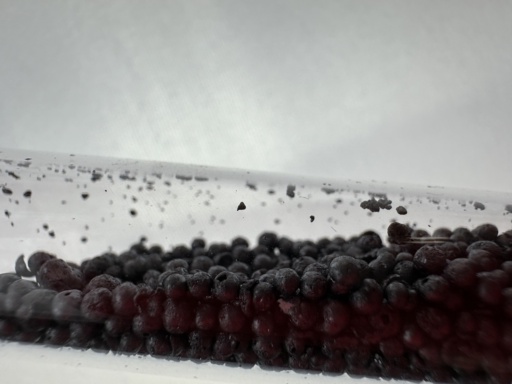 Pure Iodine is a dark purple, almost black solid in average Earth temperatures. This macro photo shows mostly pure Iodine beads inside of a glass ampoule, which has been turned horizontally. The texture of the beads look extremely similar to blueberries, but don’t be fooled, pure Iodine can be toxic and cause chemical burns.