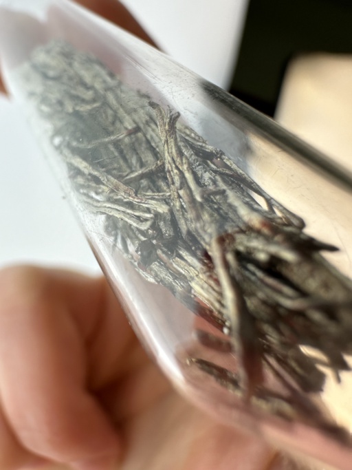 Macro photograph of dendritic (hair-like) crystals of brassy Samarium metal in an ampoule